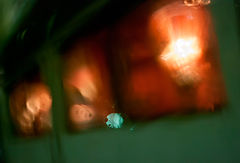 photo "***"
