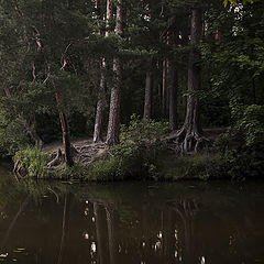 фото "б/н"