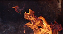 photo "***"