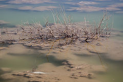 photo "***"