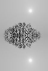 photo "***"