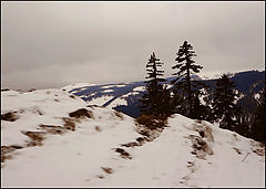 photo "***"