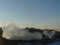 фото "Три белых коня, эх, три белых коня..."