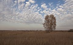 photo "Autumn Landscape"