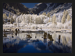 photo "***"