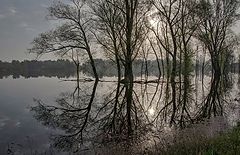 photo "***"
