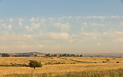 photo "***"