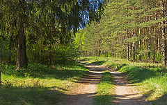 фото "Дорога"