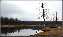 фото "Весенне-северный пейзаж"