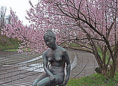 photo "Spring"