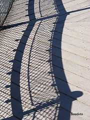 фото "Shadow"