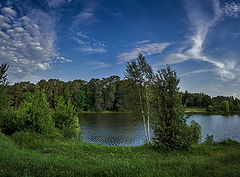 фото "Две берёзки..."