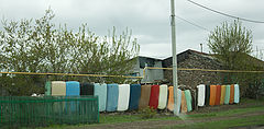 photo "***"