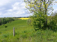 фото "Landscape"