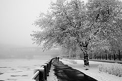 photo "***"
