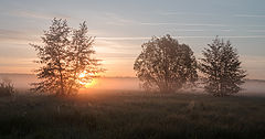 photo "***"