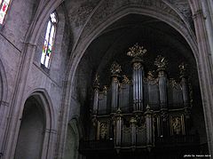 photo "into the cathedral"