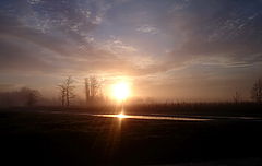 photo "On Good Morning ...."