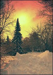 фото "Зимний этюд"