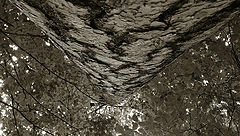 photo "***"