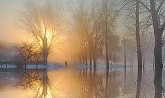 фото "...к свету... *"