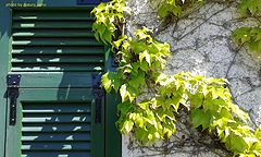 фото "corner in countryside"