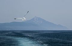 photo "Mountains and wings"