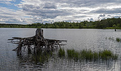 photo "***"