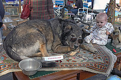 photo "At the flea market"