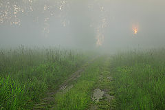 photo "***"