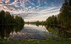 фото "Время прислушаться к пению птиц..."