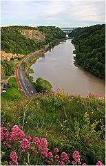 photo "Bristol 2015-  European Green Capital"