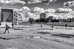 photo "***"