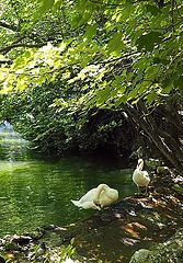 photo "Senza Fine"