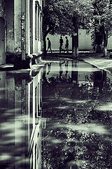 photo "***"