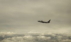 photo "Outside the window"