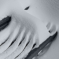 photo "***"
