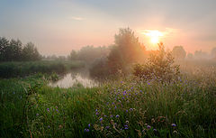 photo "***"