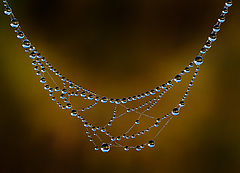 photo "***"