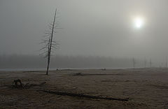 фото "Предзимье в Приполярье 2"
