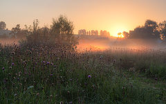 photo "***"