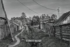фото "street"