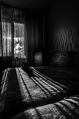 photo "***"