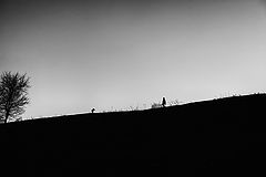 photo "***"