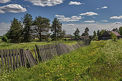 фото "Сосновец"