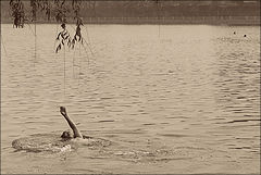 фото "Плавание."
