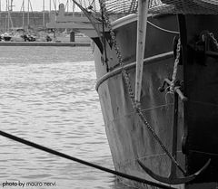 фото "in the harbour"