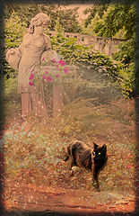 photo "***"