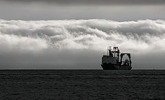 фото "Тайфун"