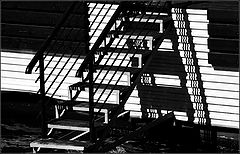 photo "ladder"